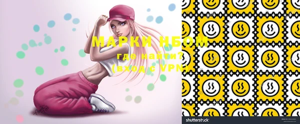 мяу мяу мука Кинешма