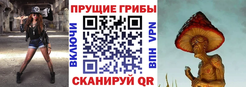 Галлюциногенные грибы мицелий  Купить закладки  Задонск 